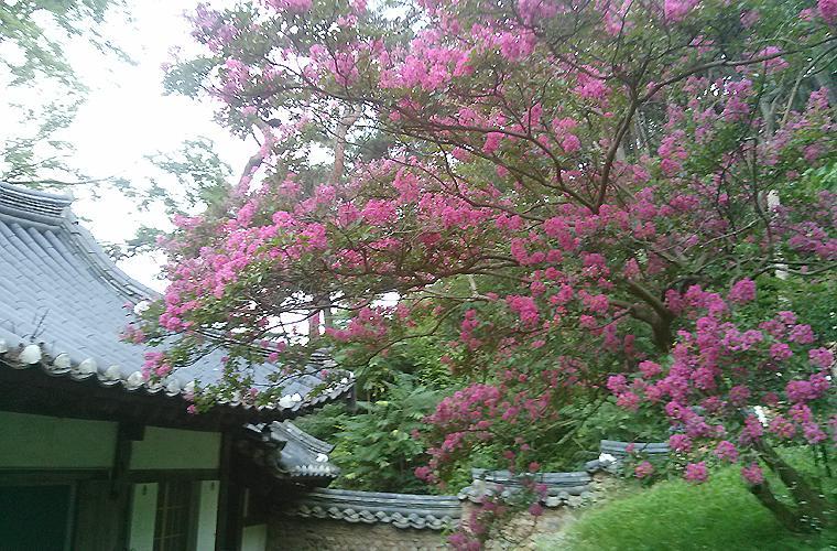 Okyeon Jeongsa Andong Exterior foto