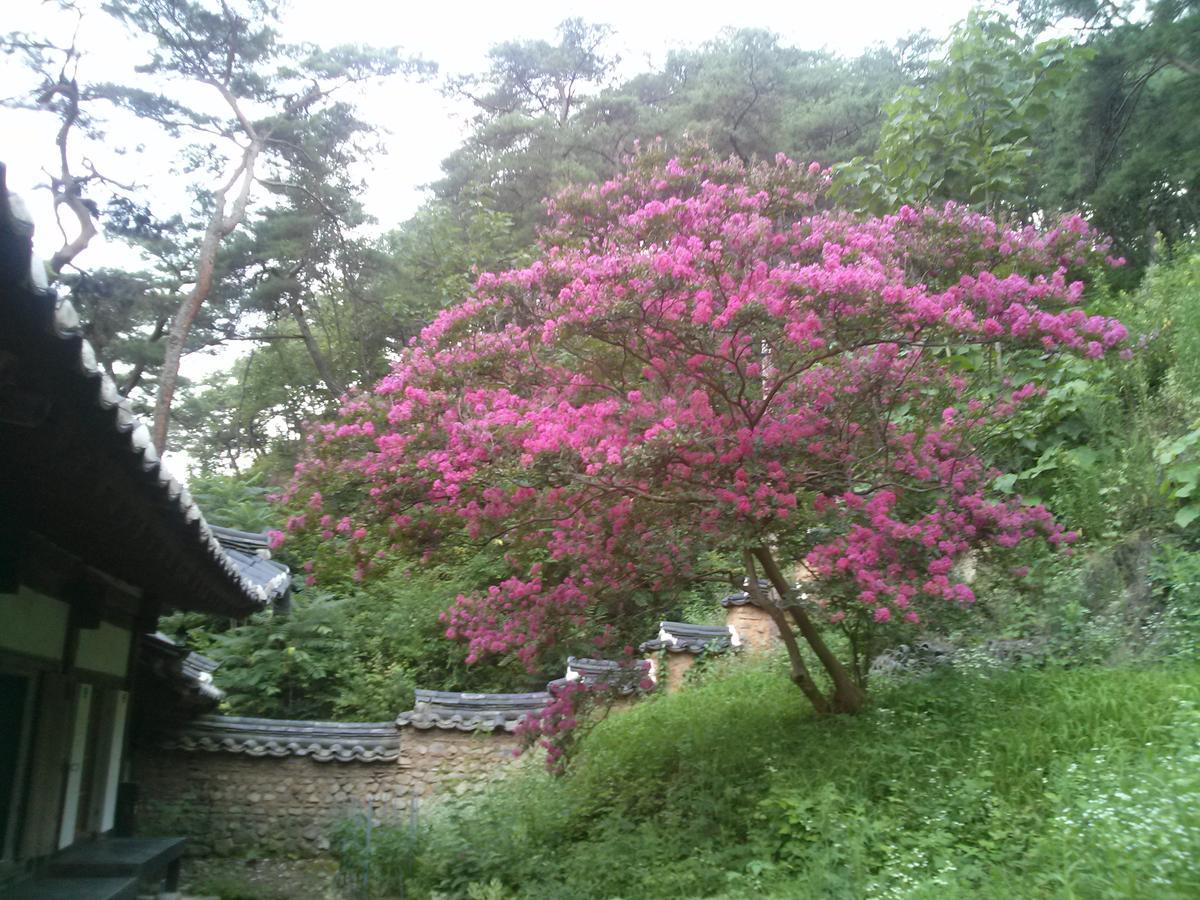 Okyeon Jeongsa Andong Exterior foto
